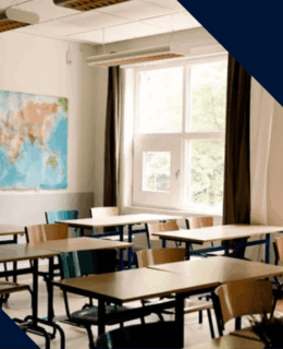 Vice_society_Schools